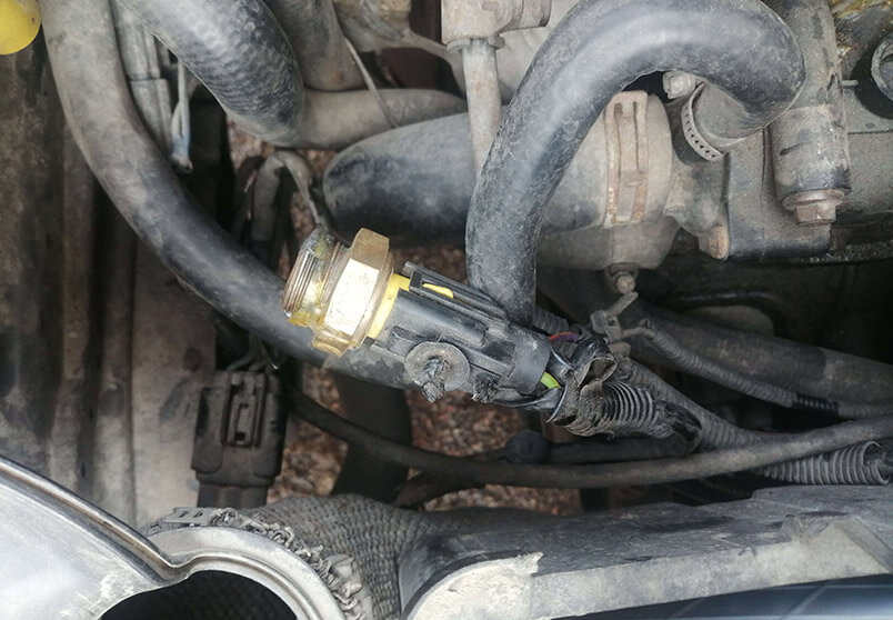 Hararet Müşürü Nerede Bulunur?