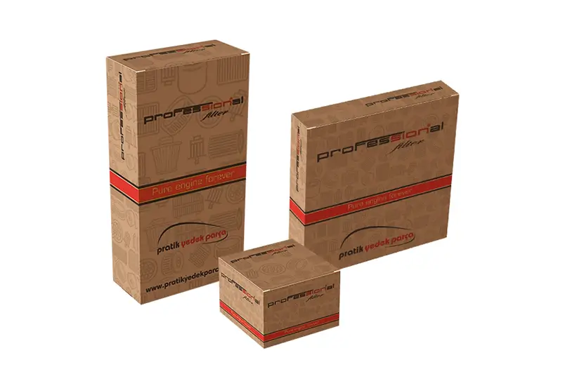 Renault Symbol 0.9 Tce Bakım Filtre Seti